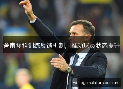 舍甫琴科训练反馈机制，推动球员状态提升